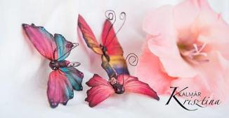Butterflies by Krisztina Kalmár